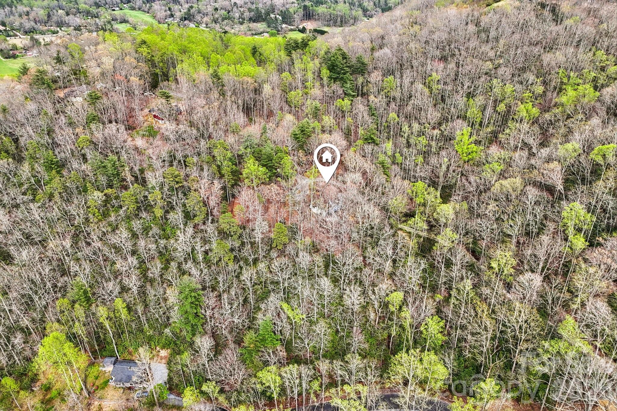 1115 Kilpatrick Road Hendersonville, NC 28739 - Photo 45 of 48