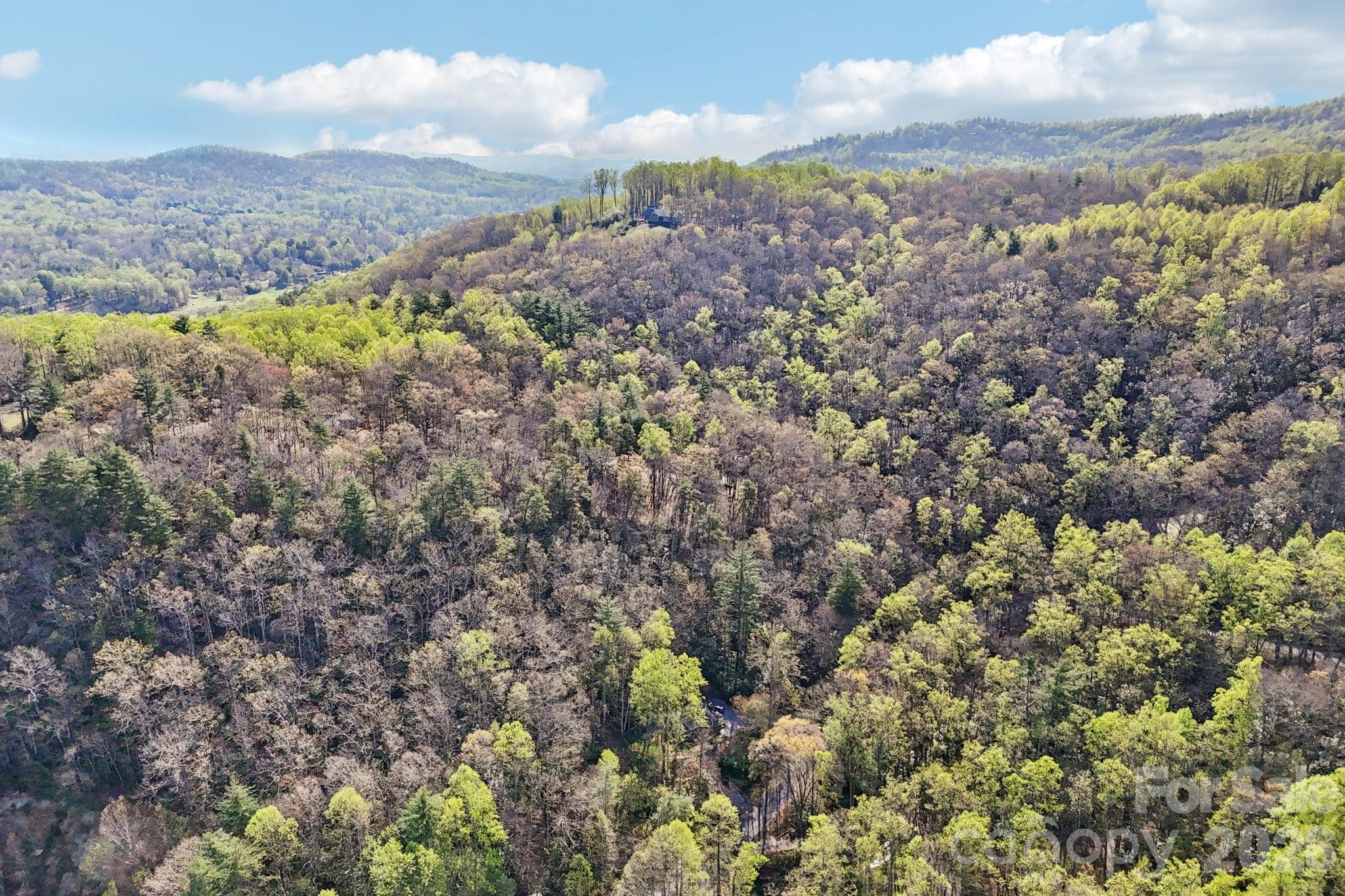 1115 Kilpatrick Road Hendersonville, NC 28739 - Photo 46 of 48