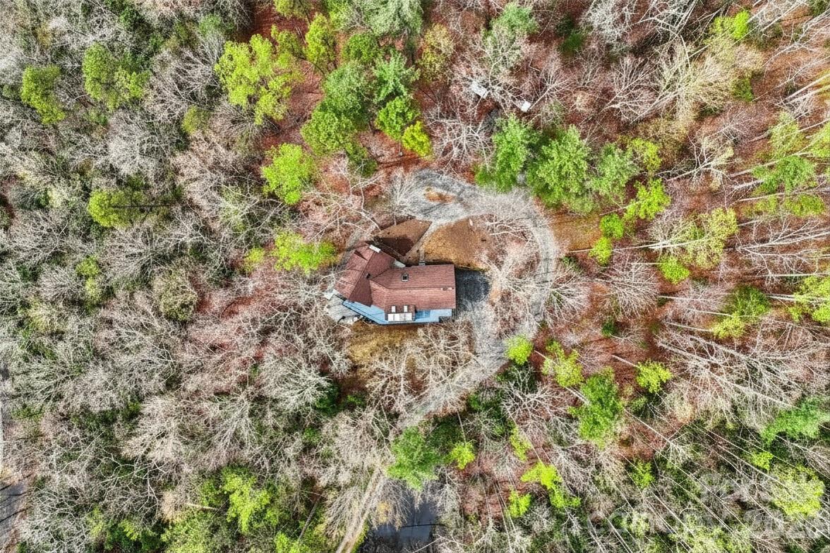 1115 Kilpatrick Road Hendersonville, NC 28739 - Photo 47 of 48