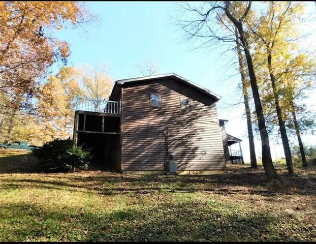 a view of a forest with trees in the background