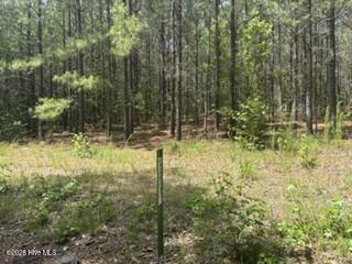 Tbd Boling Way Carthage, NC 28327 - Photo 2 of 4