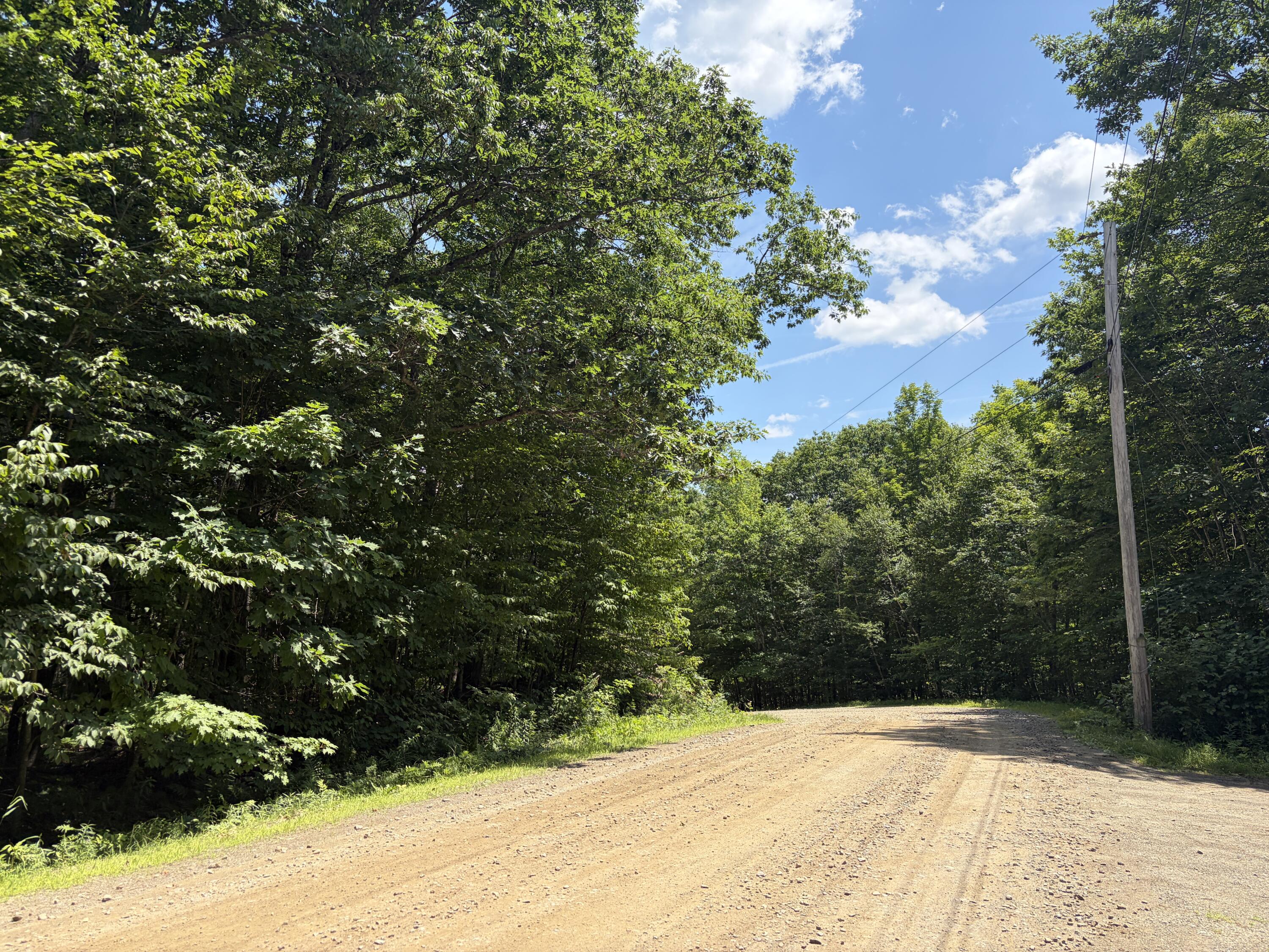 3.41-acres Belden Woods Road Palermo, ME 04354 - Photo 2 of 17 IMG_8407