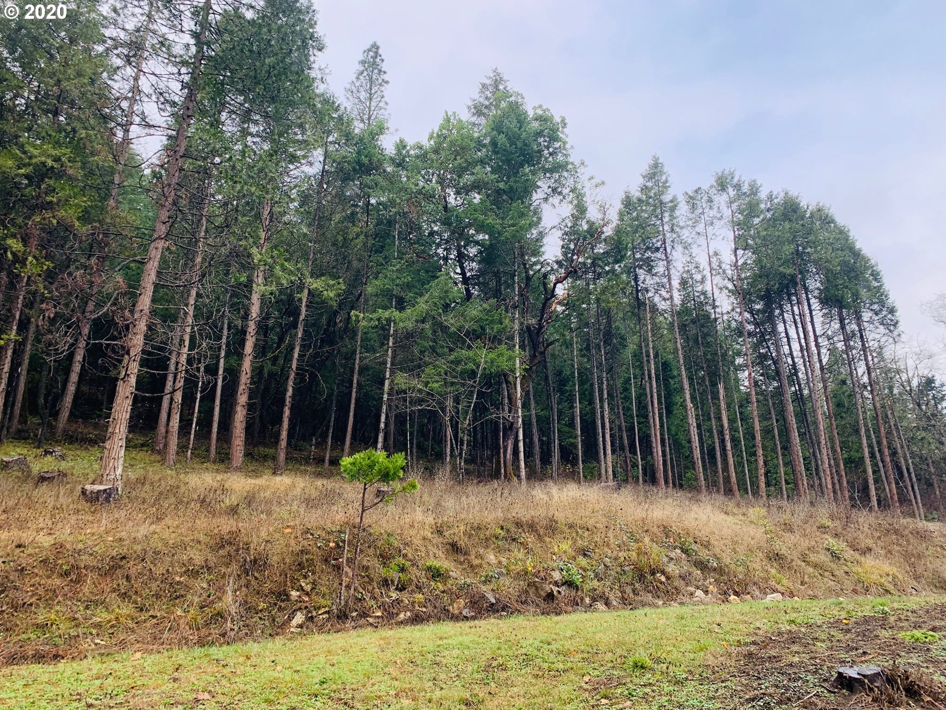 3902 South Myrtle Road Myrtle Creek, OR 97457 - Photo 22 of 31