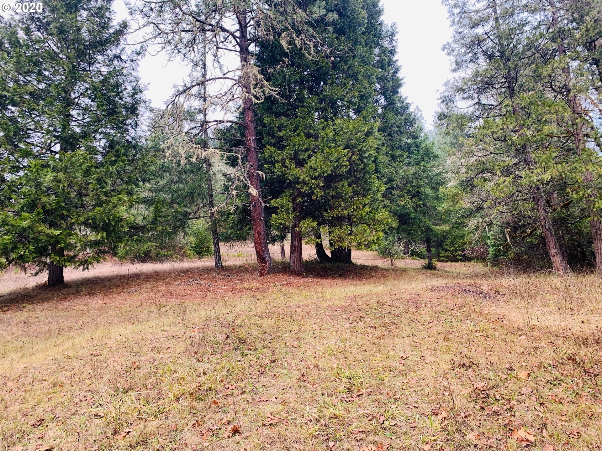 3902 South Myrtle Road Myrtle Creek, OR 97457 - Photo 25 of 31