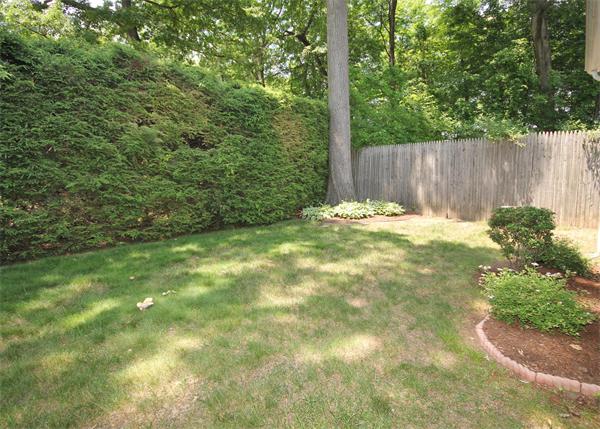 49 Luden Street Springfield, MA 01118 - Photo 16 of 16 Gallery Image 16