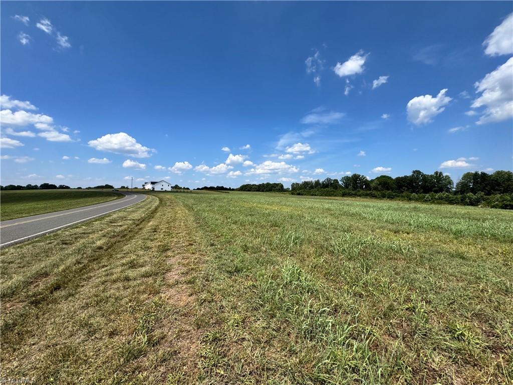 Lot #8 Sandy Springs Road Mocksville, NC 27028 - Photo 3 of 5