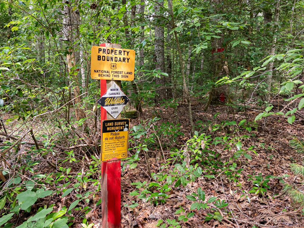860 Holly Road Murphy, NC 28906 - Photo 46 of 62