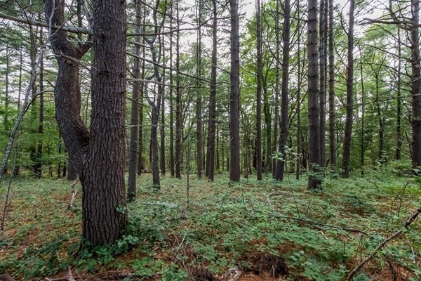 87 Jefferson Road Marshfield, MA 02050 - Photo 26 of 28 Gallery Image 26