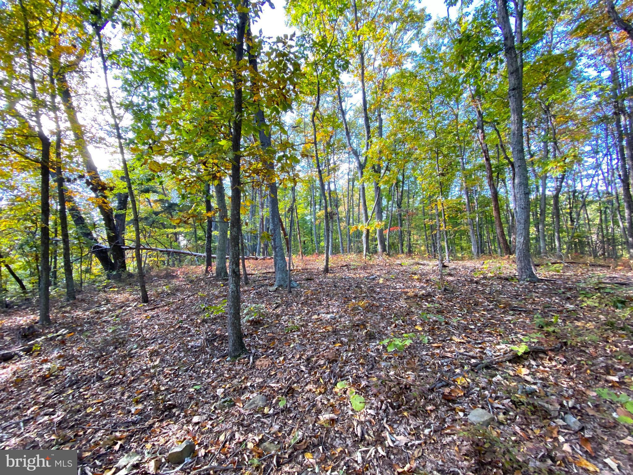 0 Castleton View Road Castleton, VA 22716 - Photo 13 of 33