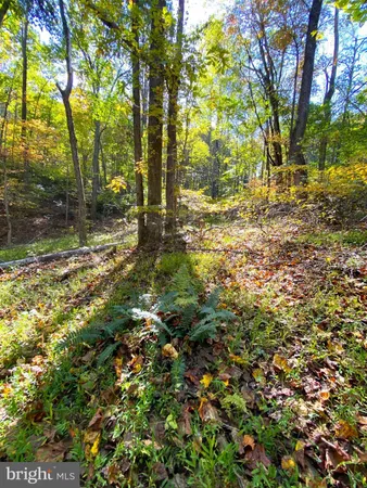 $286,000 | 0 Castleton View Road, Castleton, VA 22716