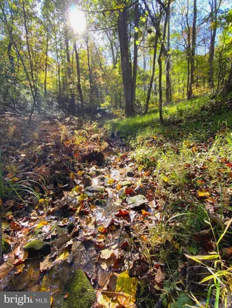 $286,000 | 0 Castleton View Road, Castleton, VA 22716