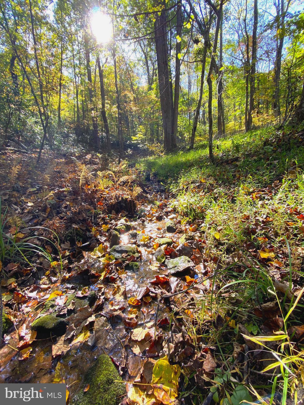 0 Castleton View Road Castleton, VA 22716 - Photo 15 of 33