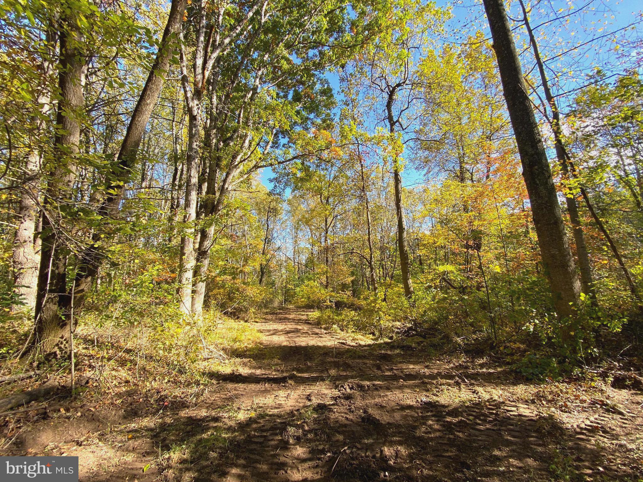 0 Castleton View Road Castleton, VA 22716 - Photo 16 of 33