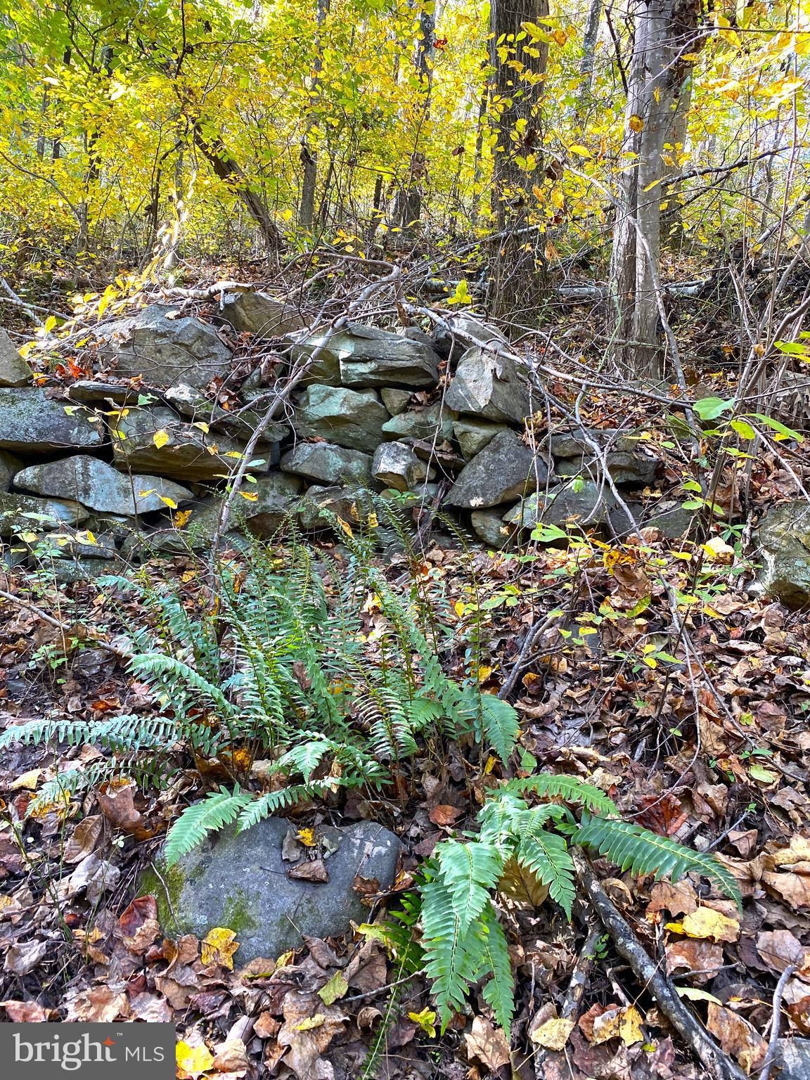 0 Castleton View Road Castleton, VA 22716 - Photo 17 of 33