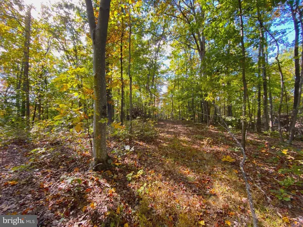 $286,000 | 0 Castleton View Road, Castleton, VA 22716
