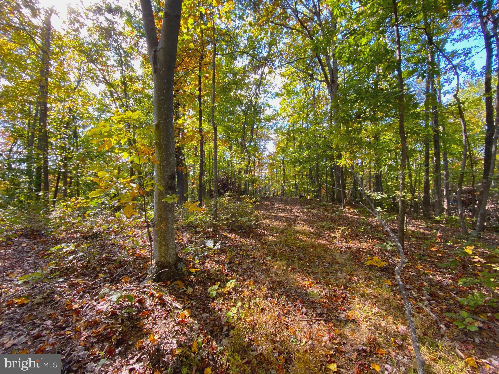 0 Castleton View Road Castleton, VA 22716 - Photo 18 of 33