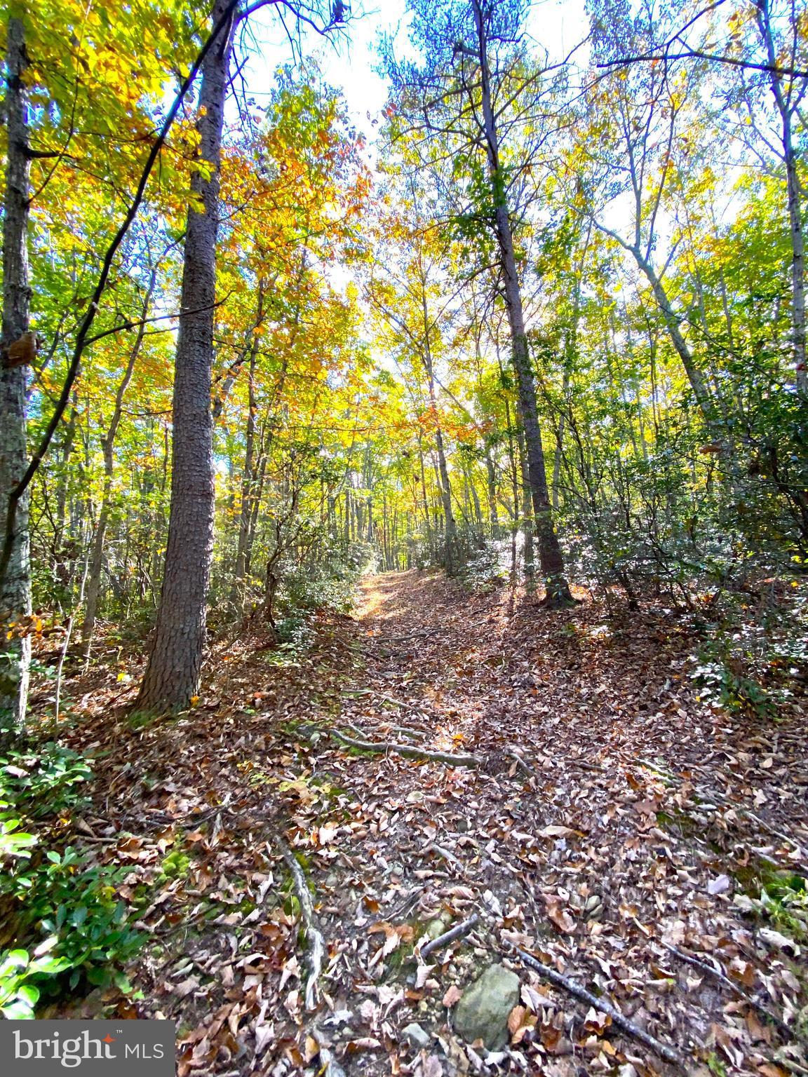 0 Castleton View Road Castleton, VA 22716 - Photo 19 of 33