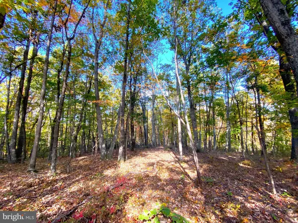 $286,000 | 0 Castleton View Road, Castleton, VA 22716