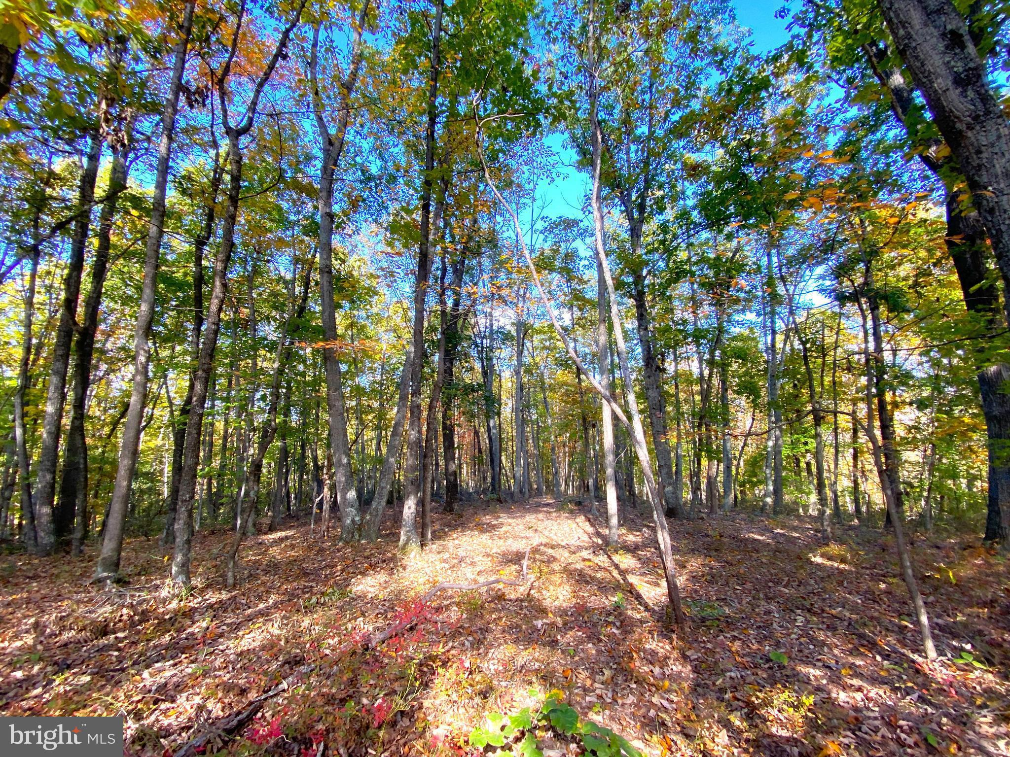 0 Castleton View Road Castleton, VA 22716 - Photo 20 of 33