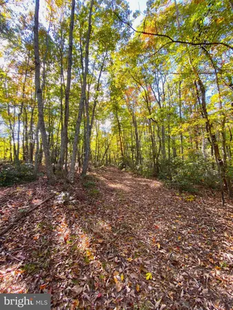 $286,000 | 0 Castleton View Road, Castleton, VA 22716