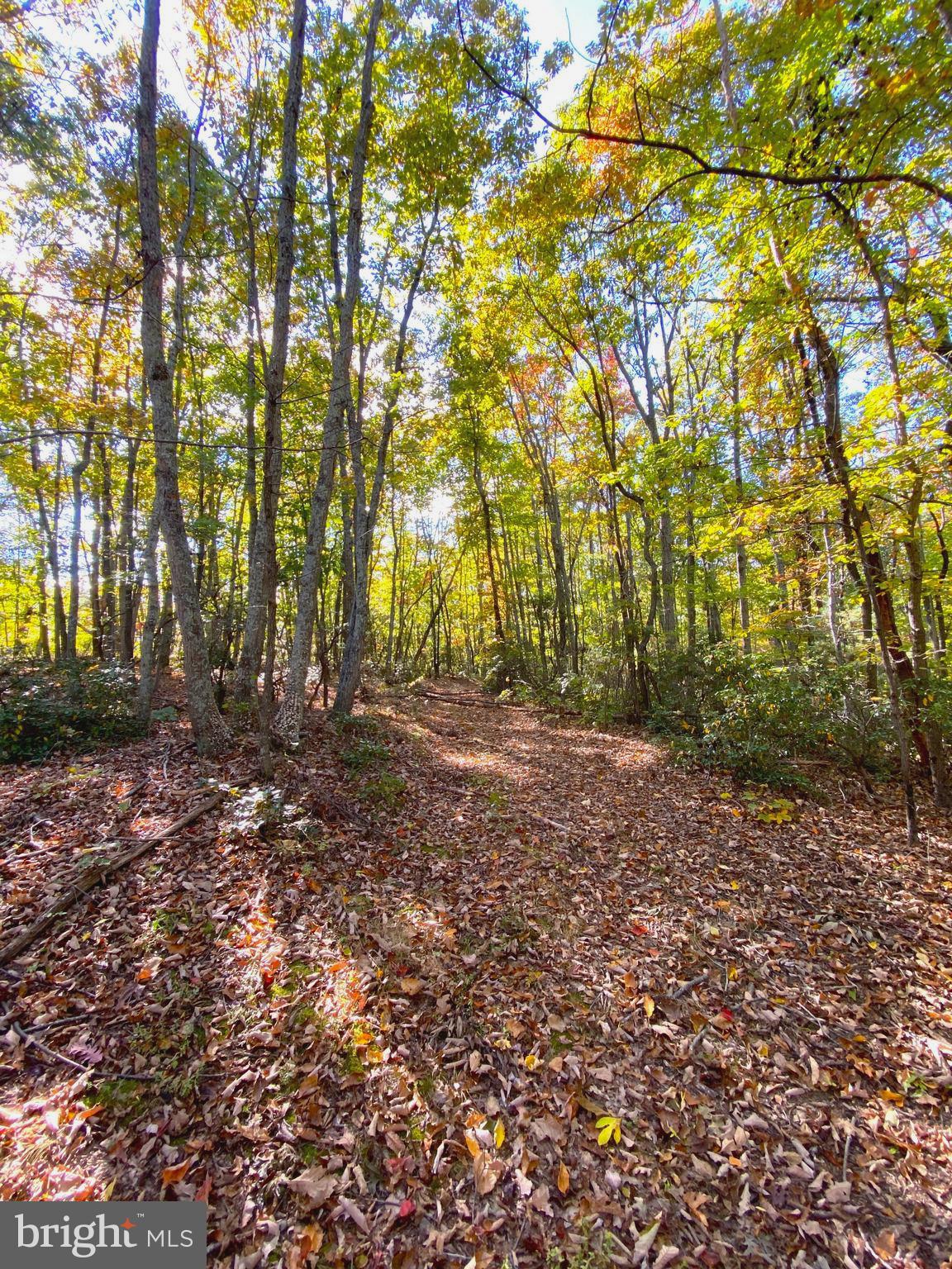 0 Castleton View Road Castleton, VA 22716 - Photo 21 of 33
