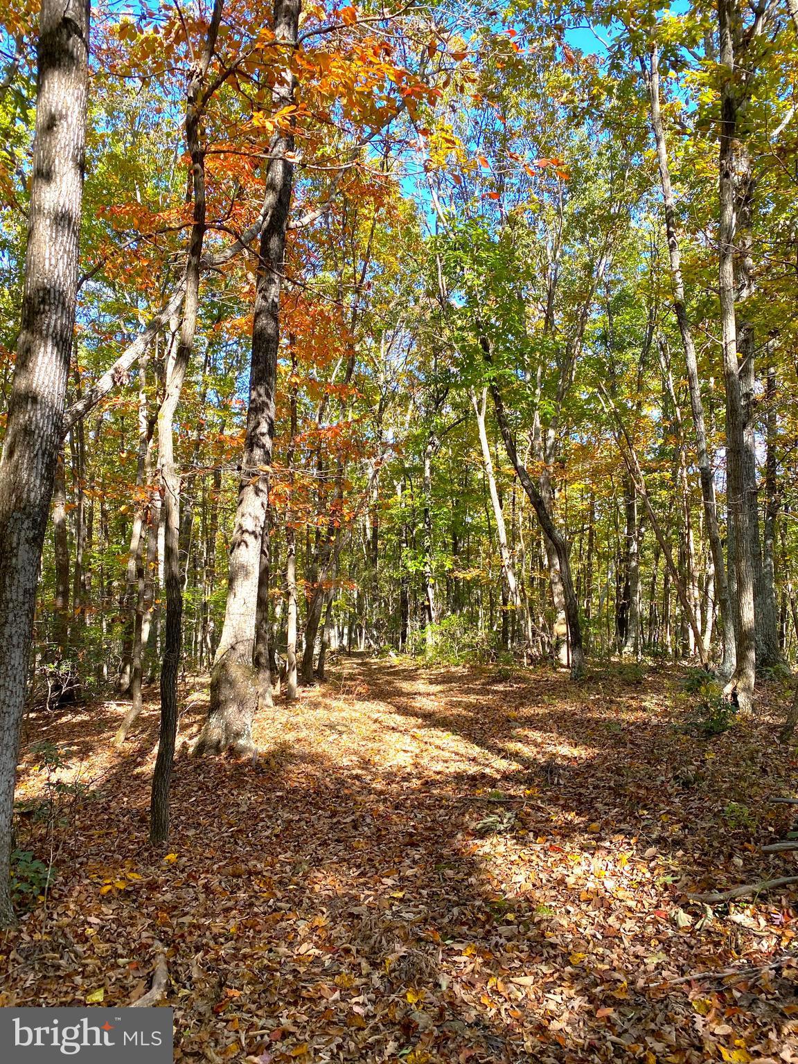 0 Castleton View Road Castleton, VA 22716 - Photo 22 of 33
