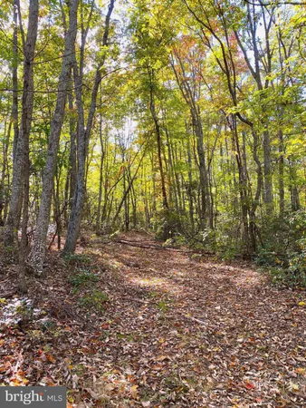 $286,000 | 0 Castleton View Road, Castleton, VA 22716