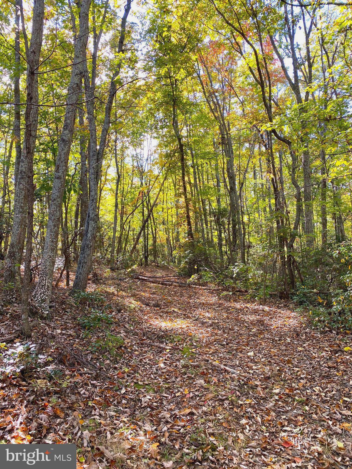 0 Castleton View Road Castleton, VA 22716 - Photo 23 of 33