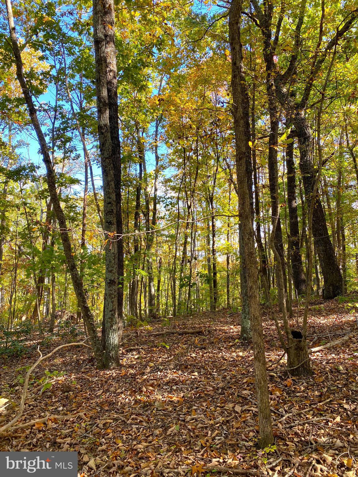 0 Castleton View Road Castleton, VA 22716 - Photo 24 of 33