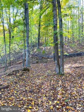 $286,000 | 0 Castleton View Road, Castleton, VA 22716