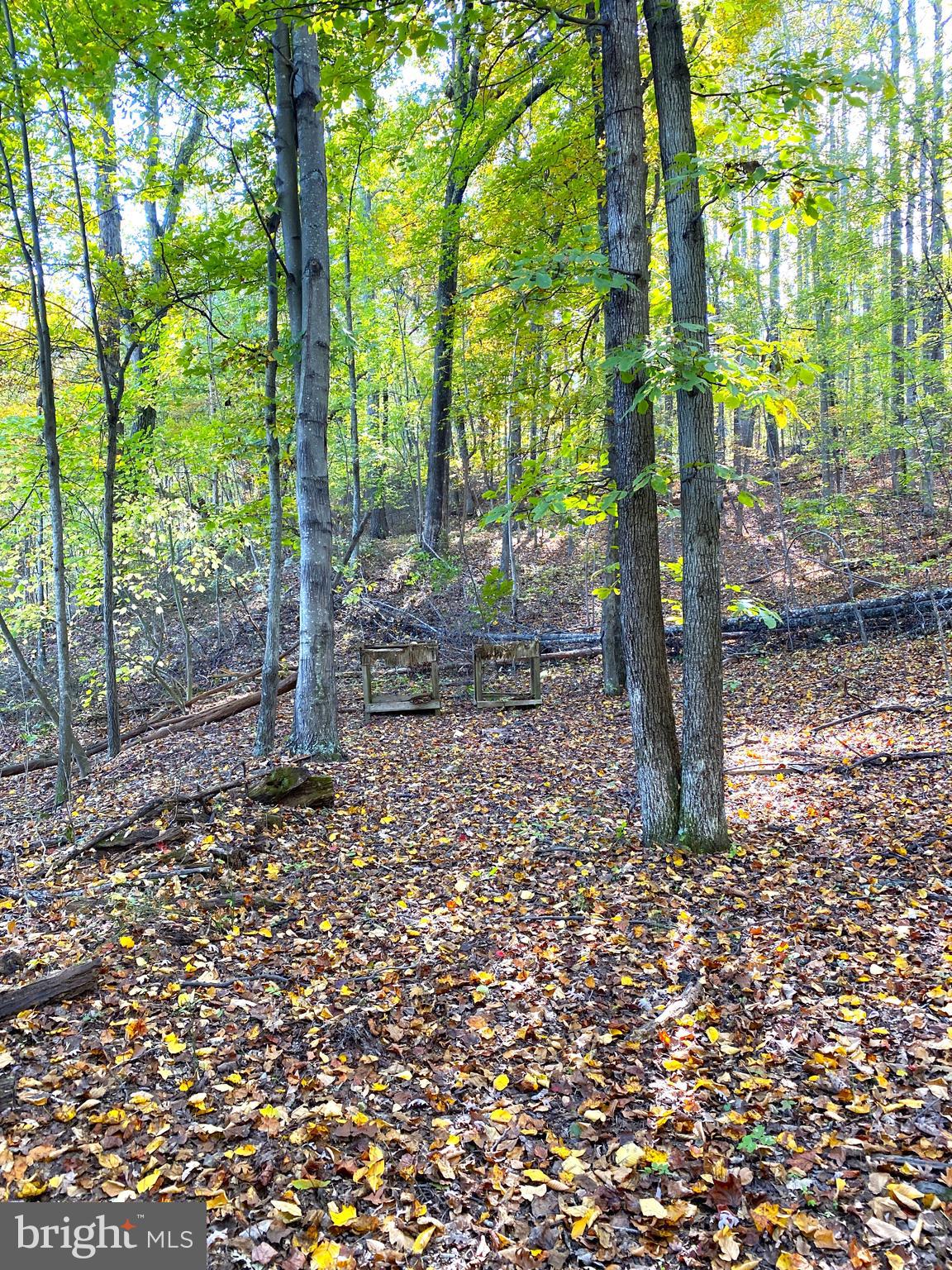 0 Castleton View Road Castleton, VA 22716 - Photo 25 of 33