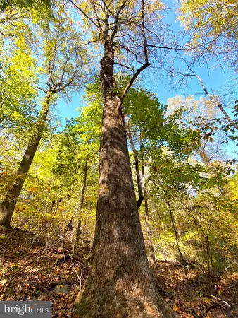 $286,000 | 0 Castleton View Road, Castleton, VA 22716