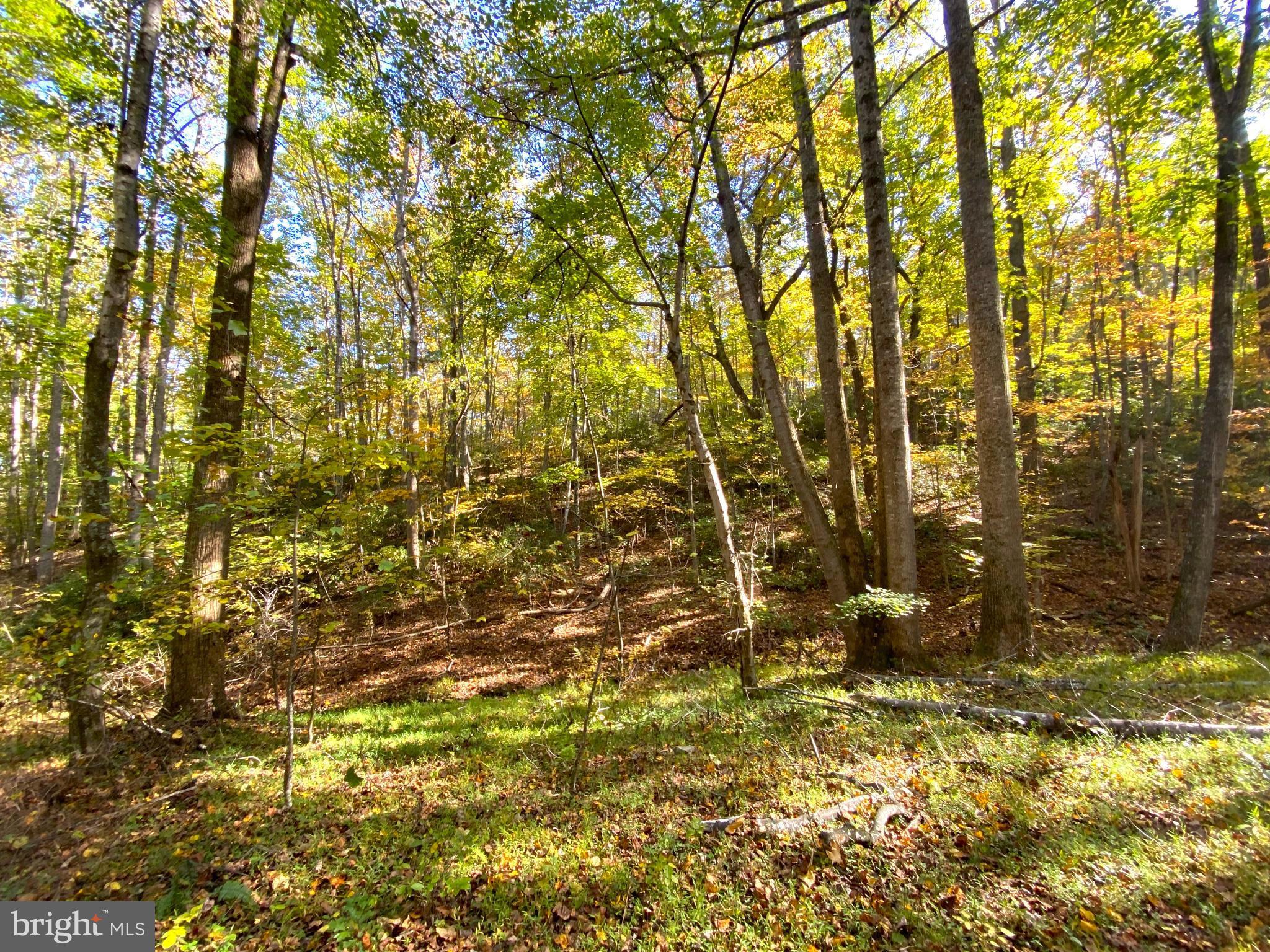 0 Castleton View Road Castleton, VA 22716 - Photo 30 of 33