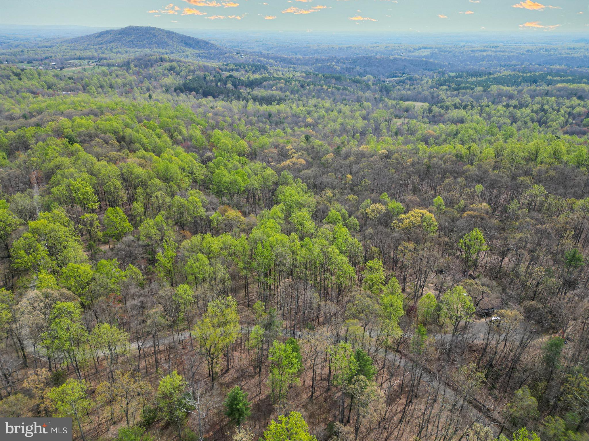 0 Castleton View Road Castleton, VA 22716 - Photo 3 of 33