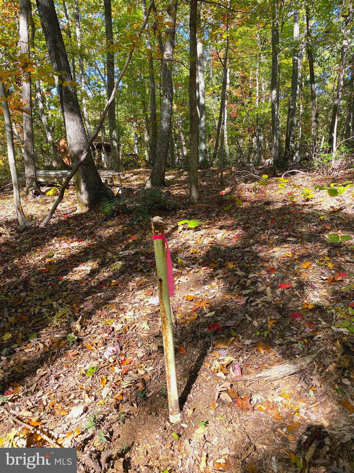 0 Castleton View Road Castleton, VA 22716 - Photo 31 of 33