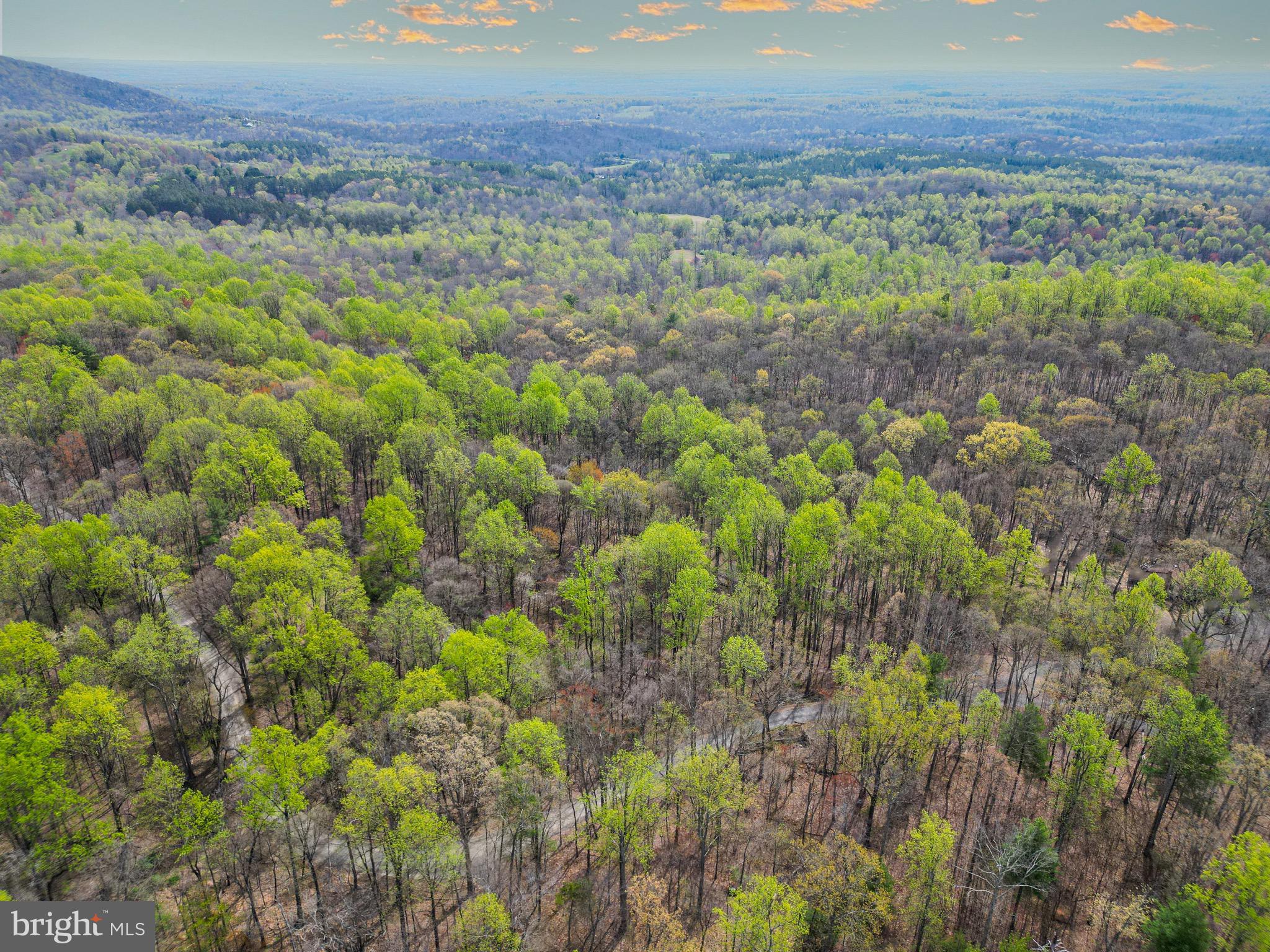 0 Castleton View Road Castleton, VA 22716 - Photo 4 of 33