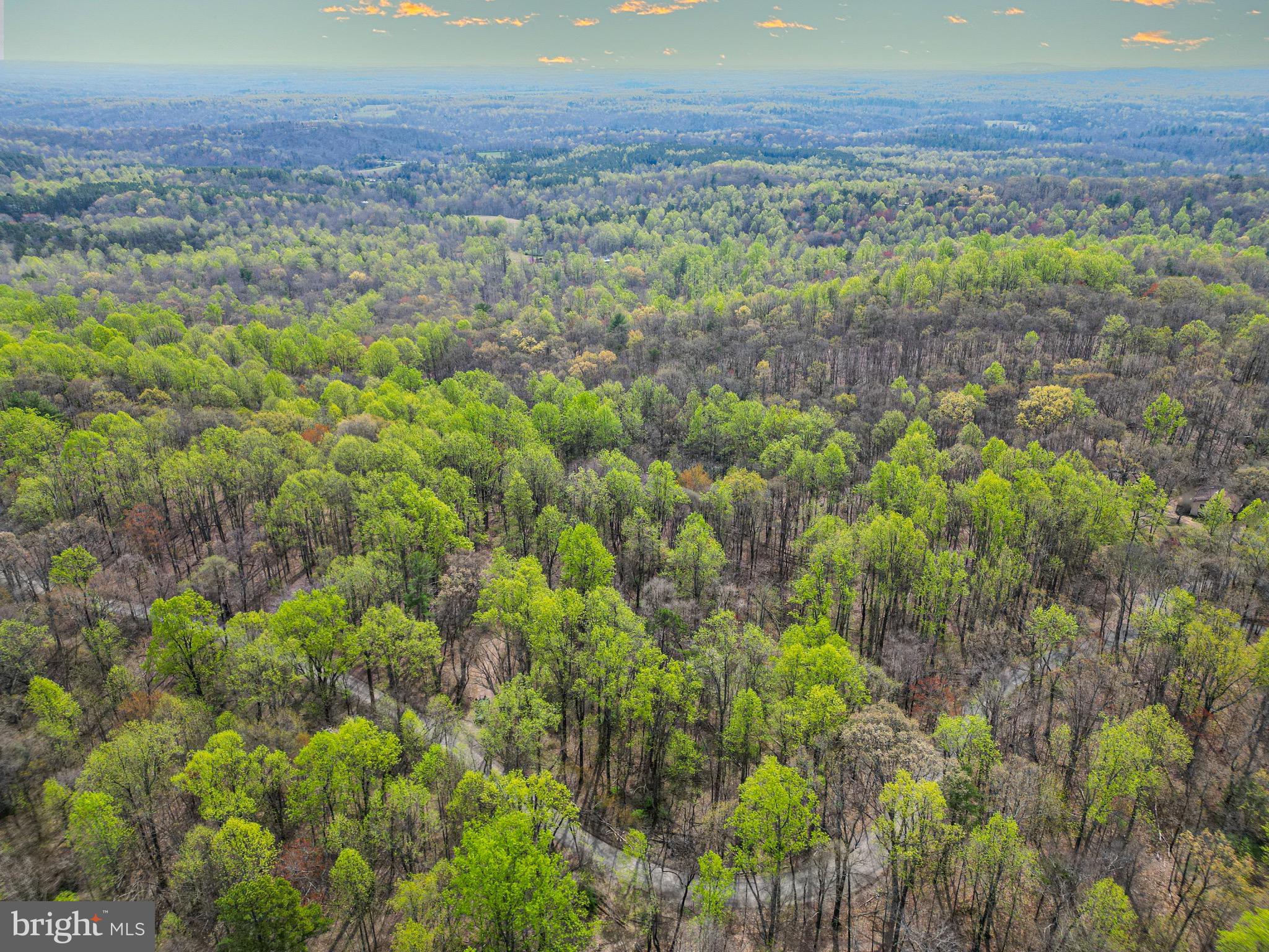 0 Castleton View Road Castleton, VA 22716 - Photo 5 of 33
