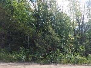 Nhn West Long Lake Road Alpena, MI 49707 - Photo 1 of 3 Gallery Image 1