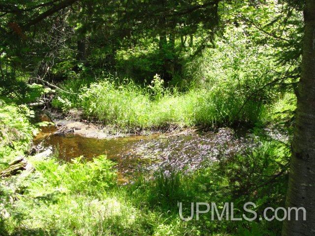 6307 Goodman Grade Road Florence, WI 54121 - Photo 28 of 30 Gallery Image 28