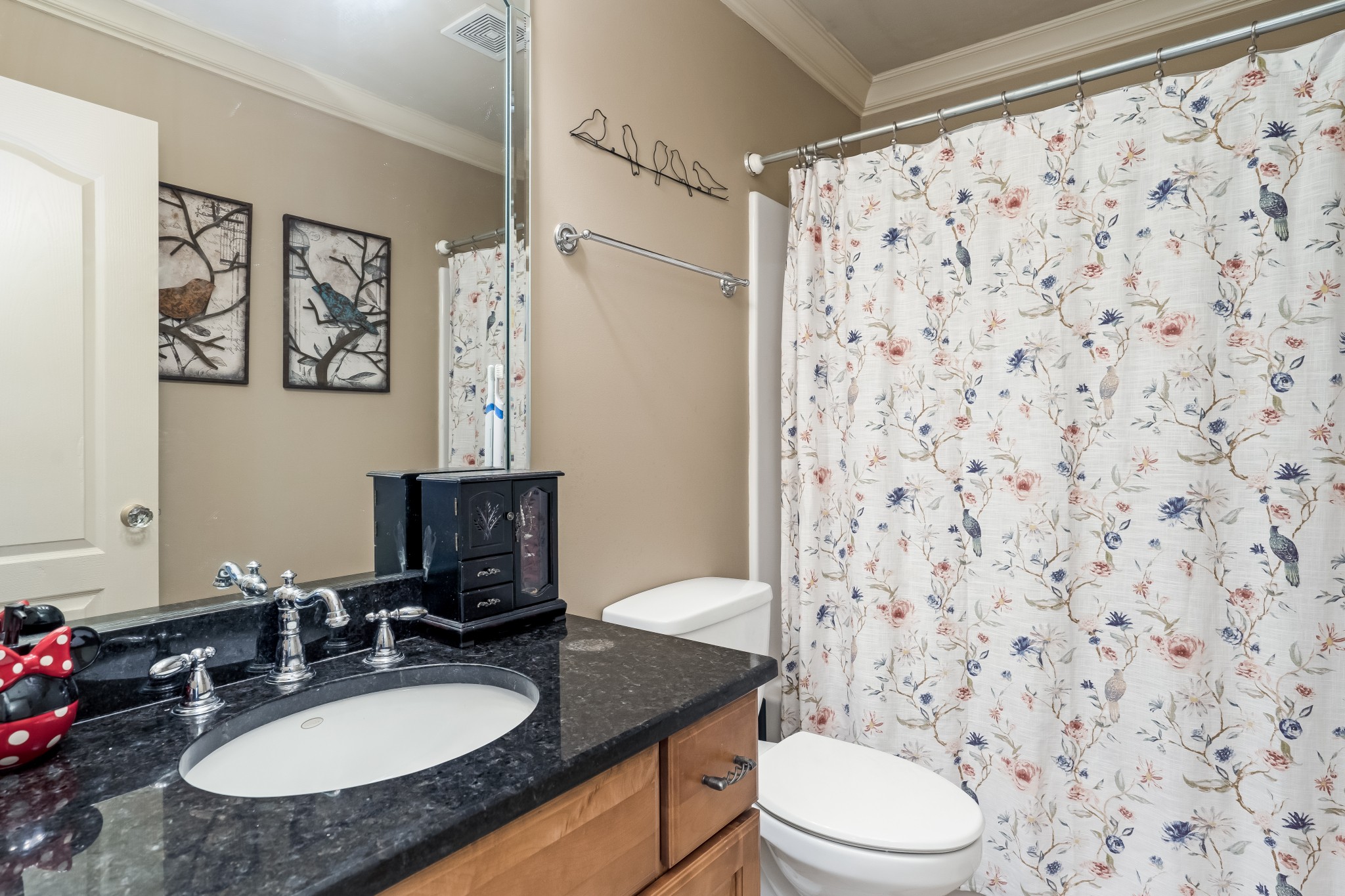 1629 Fair House Road Spring Hill, TN 37174 - Photo 24 of 42 a bathroom with a granite countertop sink toilet a mirror and shower curtain
