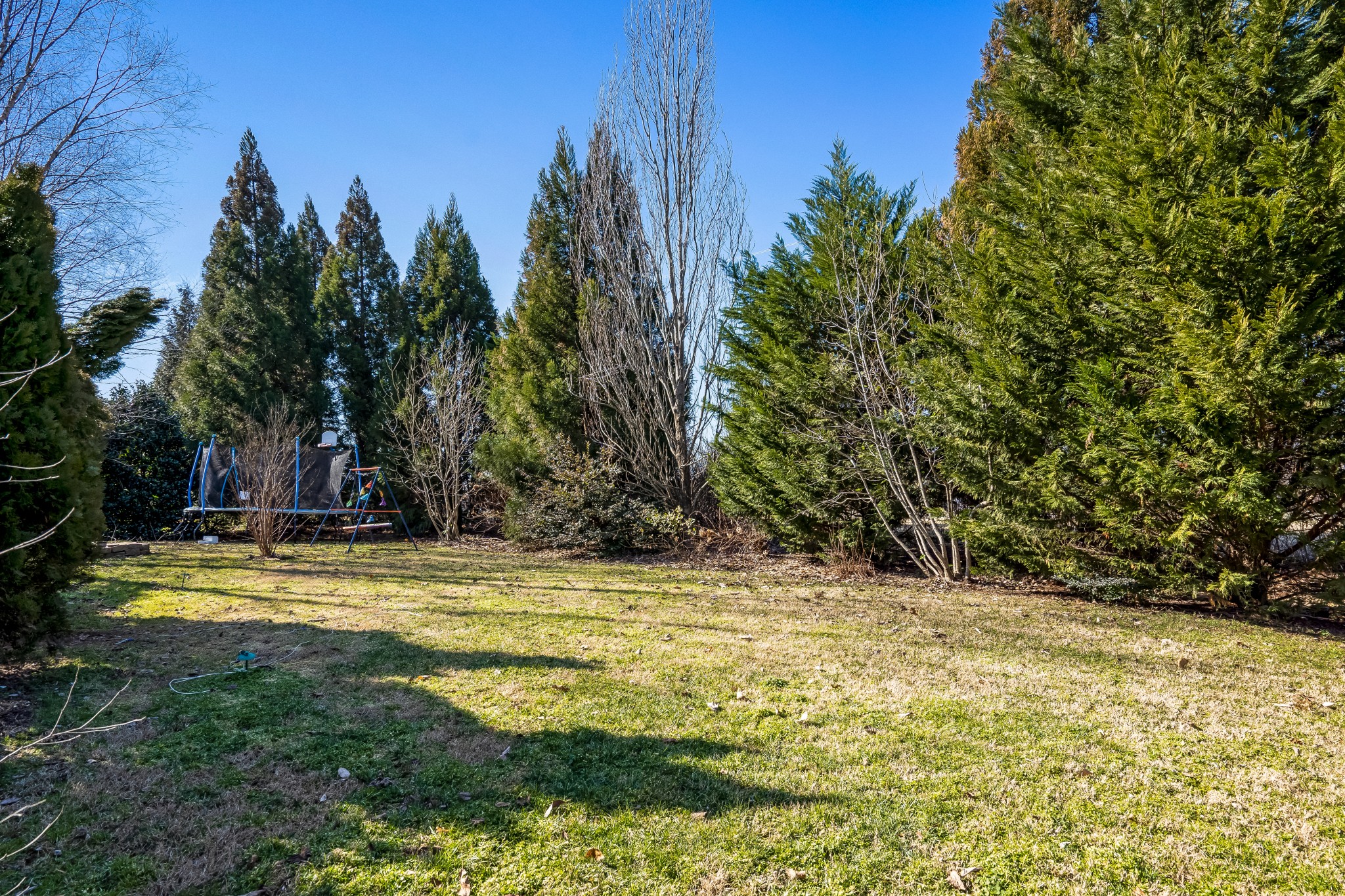 1629 Fair House Road Spring Hill, TN 37174 - Photo 37 of 42 a view of a swimming pool with a yard