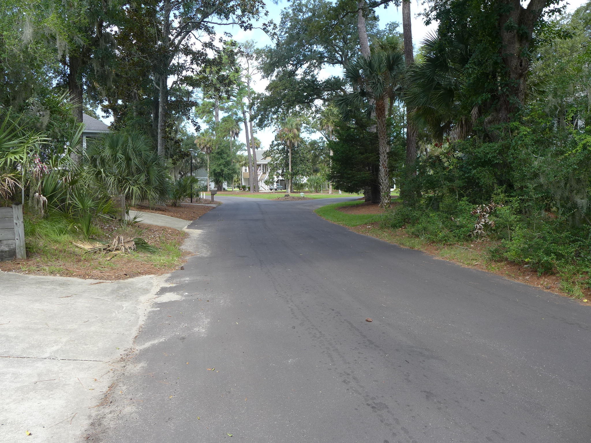 23 Rice Lane Edisto Island, SC 29438 - Photo 2 of 31 P1070667