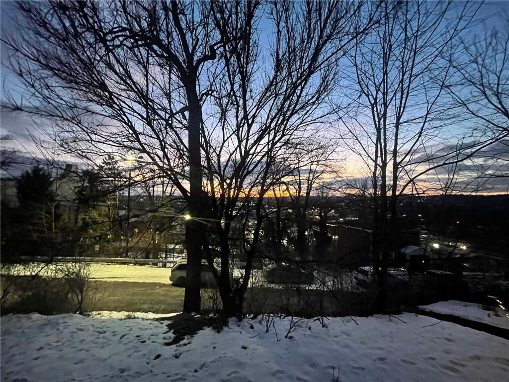 2008 Locust Street Pittsburgh, PA 15218 - Photo 6 of 9 a view of a yard