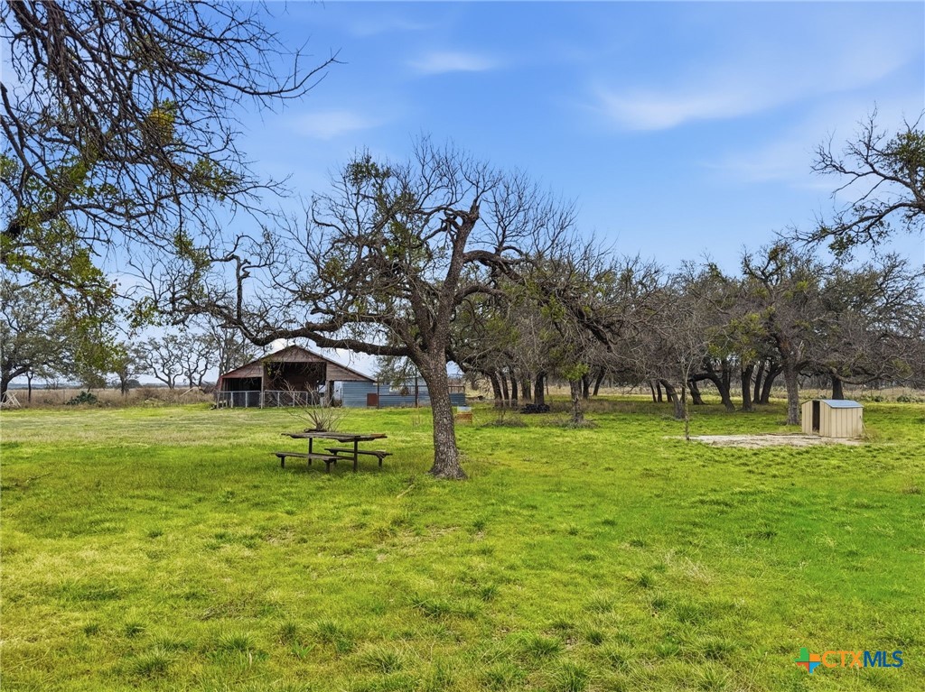 910 County Road 421 Evant, TX 76525 - Photo 7 of 25 a view of a trees in a yard