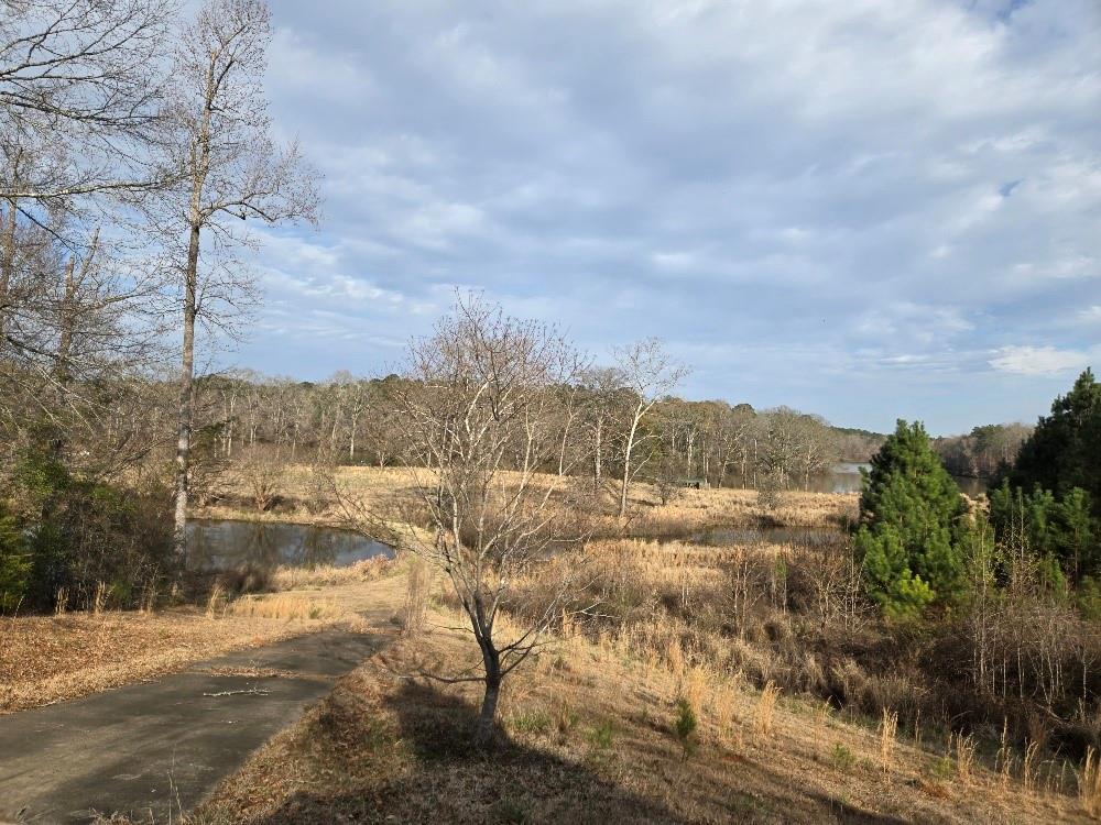 100 Riverside Drive Valley, AL 36854 - Photo 41 of 53 Gallery Image 41