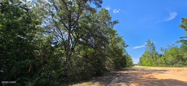 Lot 2 Jackson Road Marianna, FL 32448 - Photo 4 of 13 Gallery Image 4
