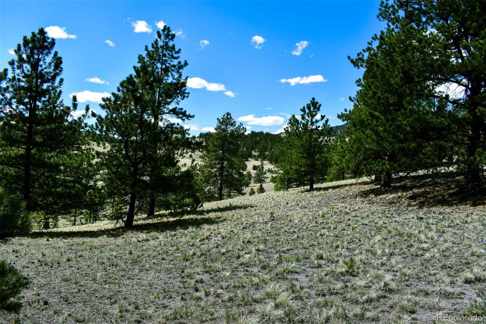 60 B Road Guffey, CO 80820 - Photo 23 of 28 a backyard of a house with lots of green space