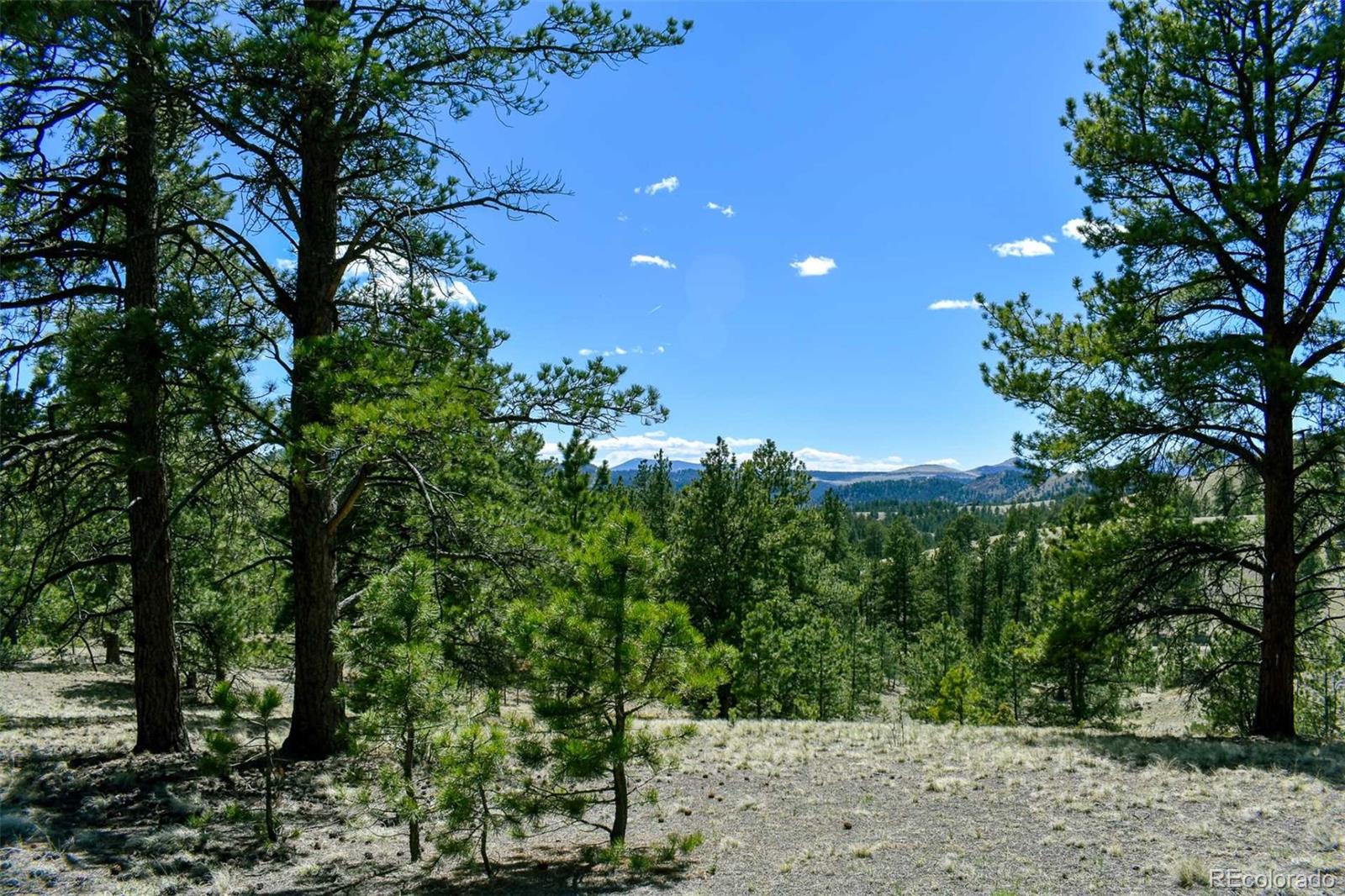 60 B Road Guffey, CO 80820 - Photo 3 of 28 a view of a tree in a yard