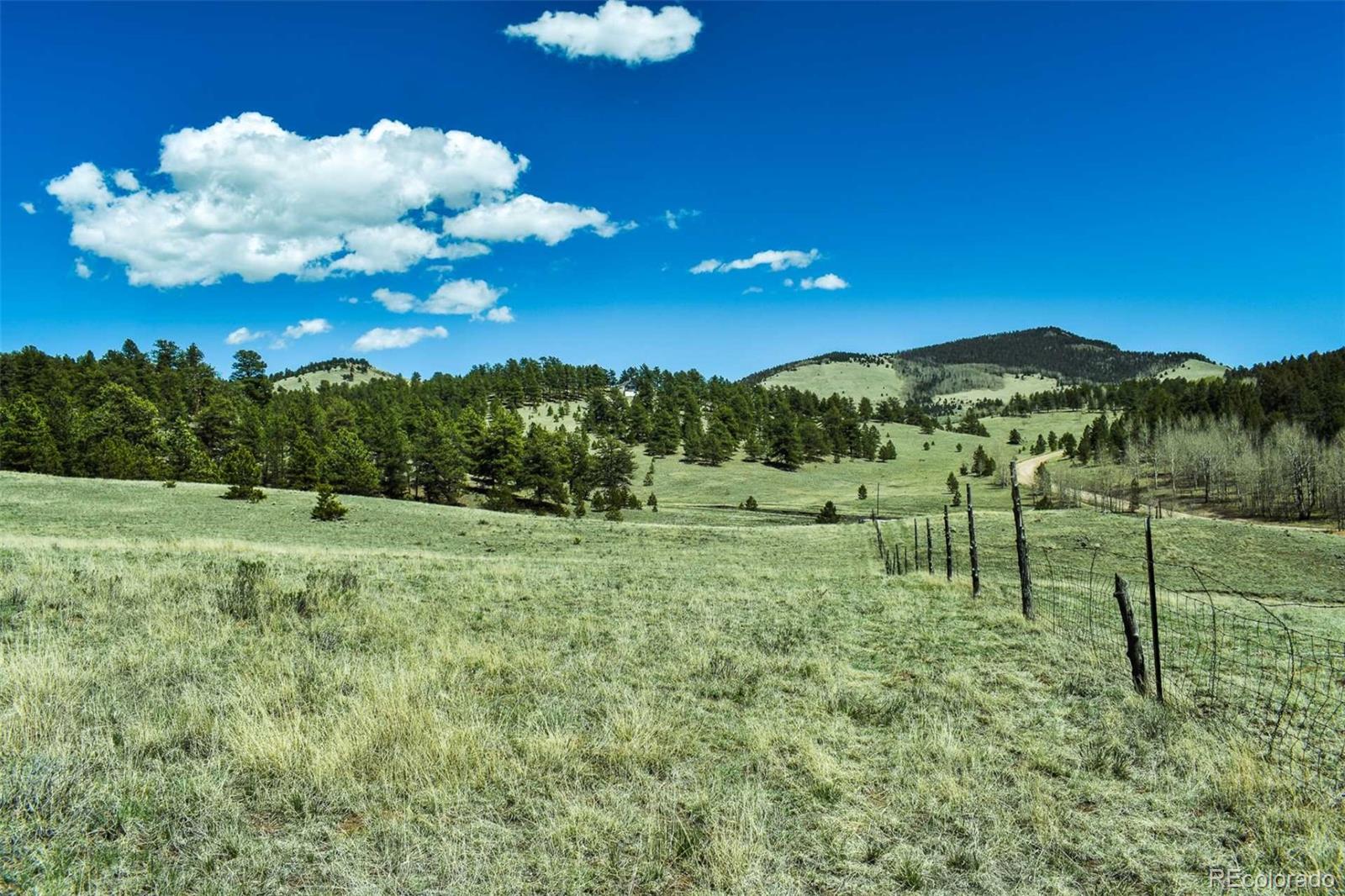 60 B Road Guffey, CO 80820 - Photo 4 of 28 a view of a golf course with a big yard