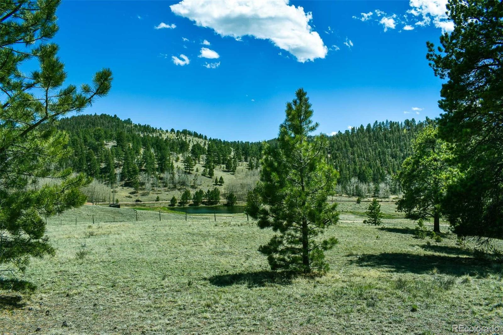 60 B Road Guffey, CO 80820 - Photo 6 of 28 a view of a garden with a lake